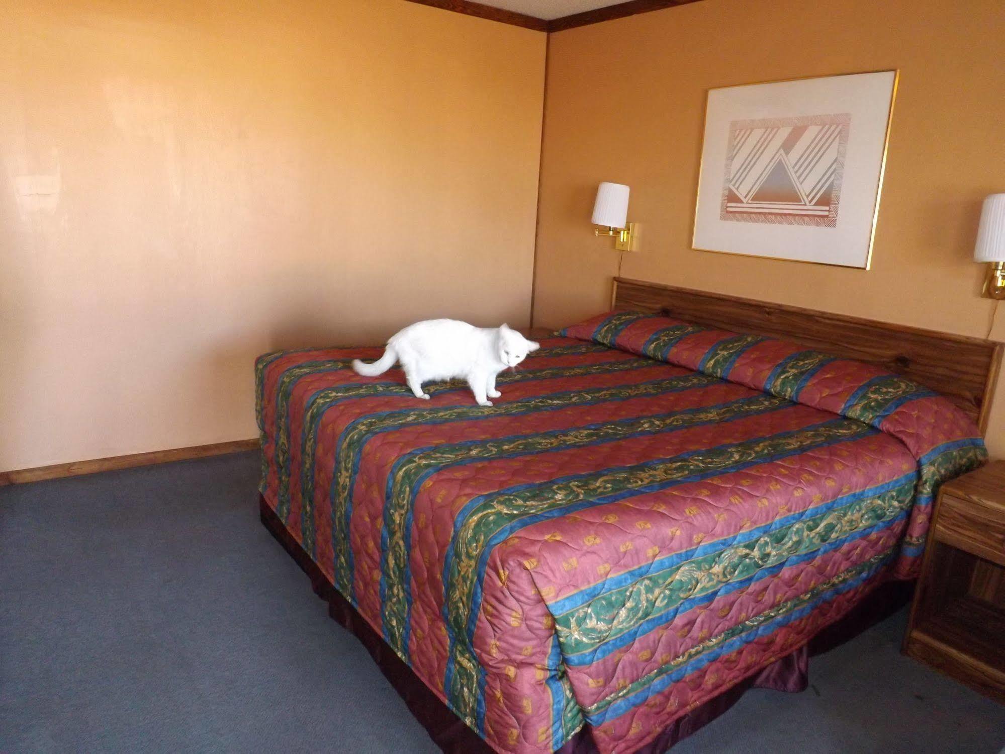 Tristar Inn Xpress Тикумкари Екстериор снимка